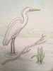 Thread painting a Florida Egret and using white th